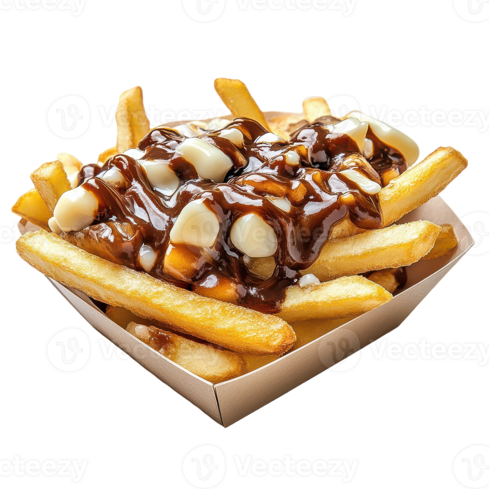 A box of french fries with caramelized onions and gravy png