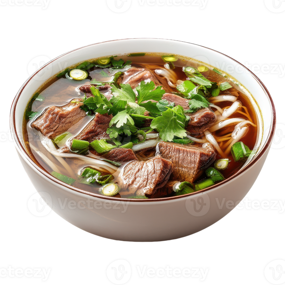 A bowl of beef and noodles with green onions png