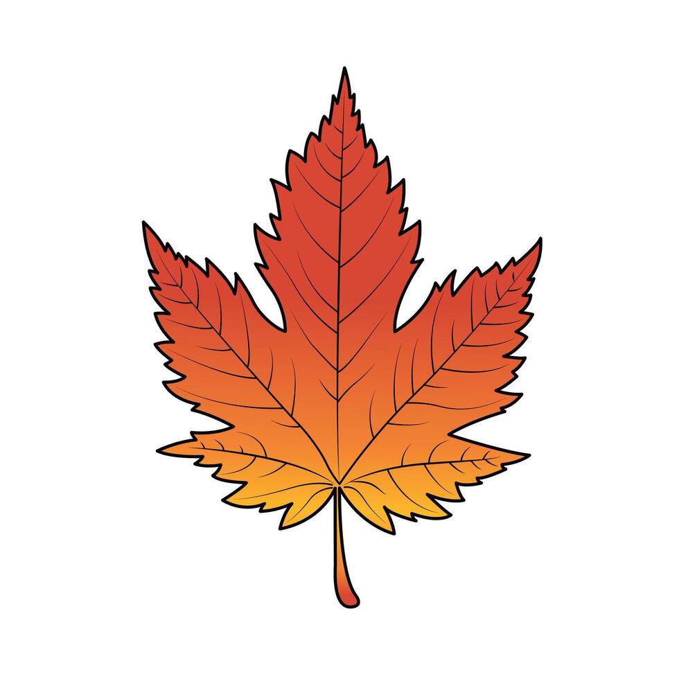 Autumn Maple Fall Leaf Rich Red To Gold Hues Isolated On White Background Illustration vector