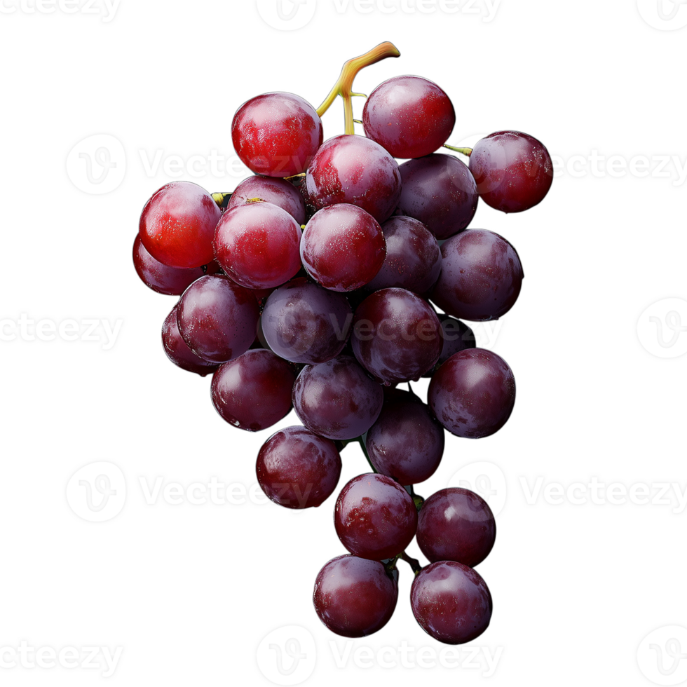 Bunch of fresh red grapes on a stem, isolated on a transparent background png