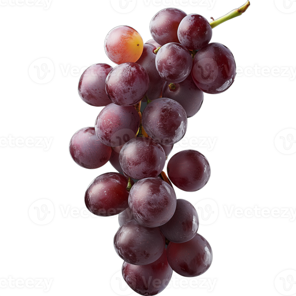 Close-up of ripe grapes with stems, isolated on a transparent background png