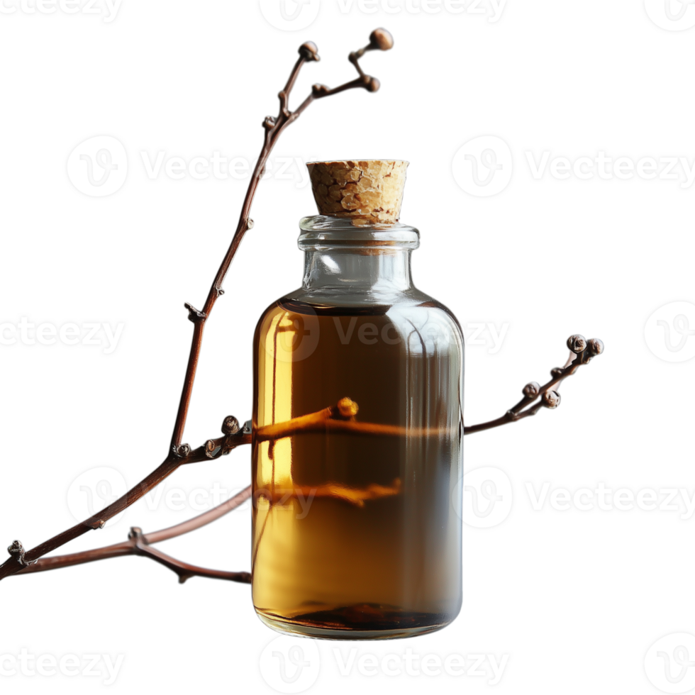 Glass bottle with cork stopper and brown liquid, intertwined with a branch, on a transparent background, showcasing natural and organic essence. png