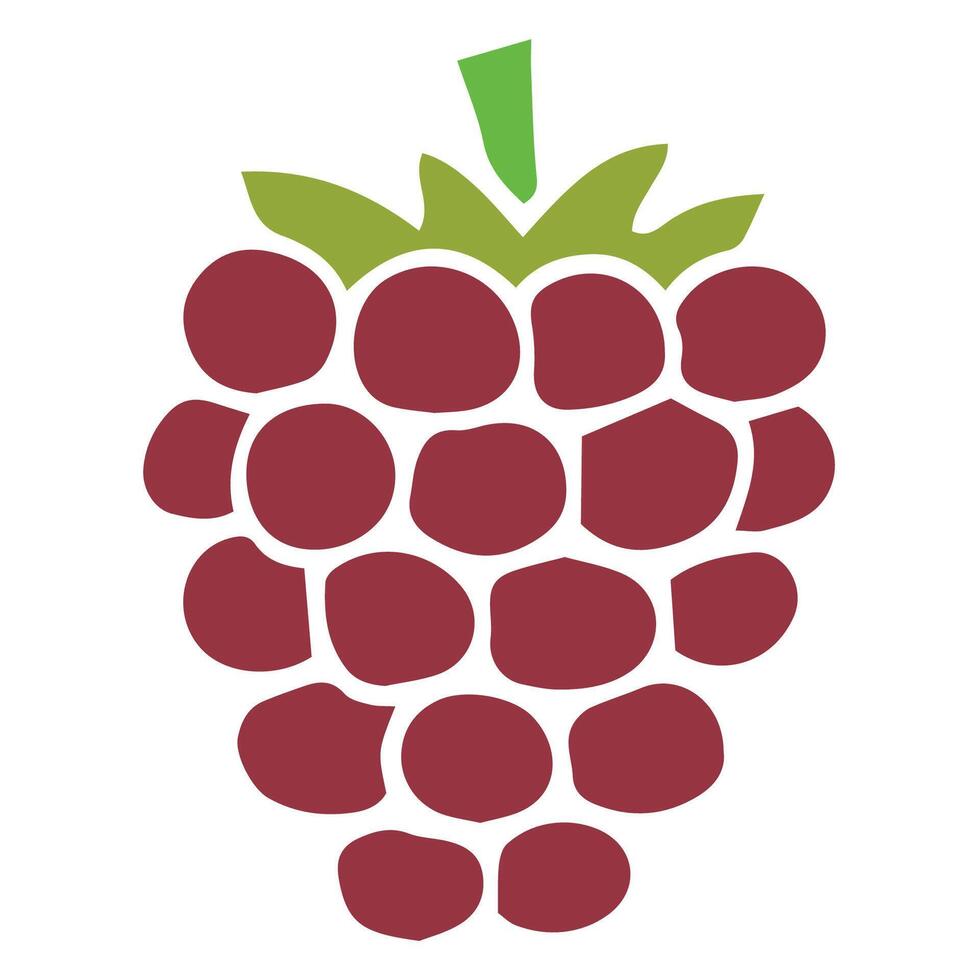 Fresh Ripe Chardonnay Red grapes hanging grapes isolated design vector