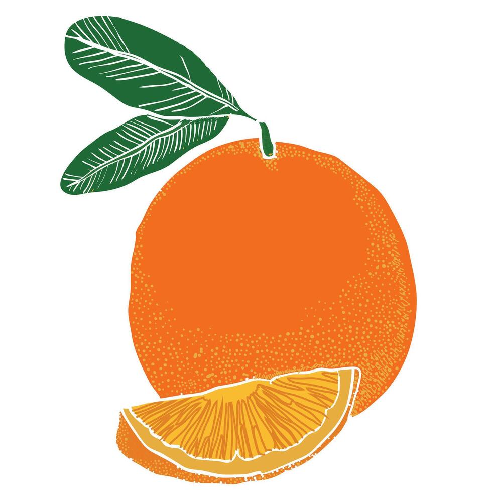 Malta Orange Fruit design vector