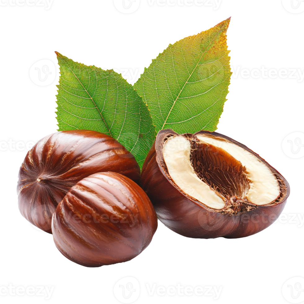 nut isolate on transparent background png