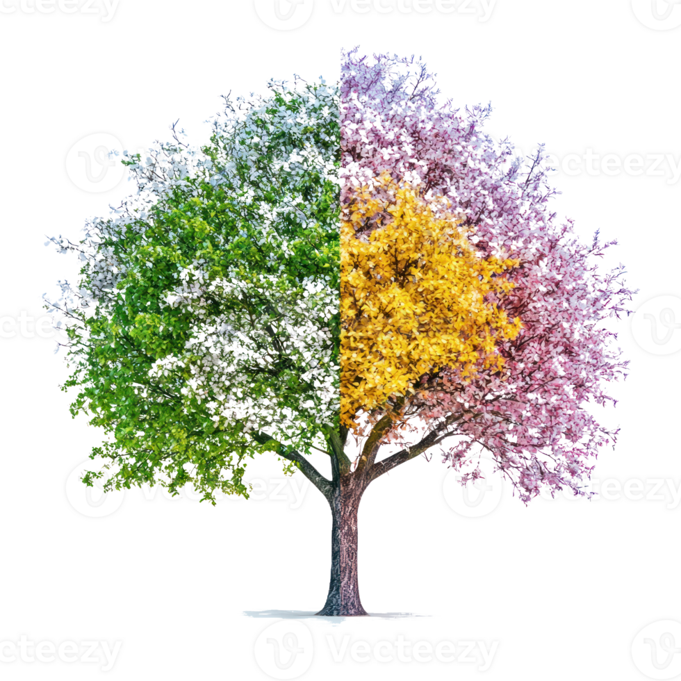 two different colored trees png