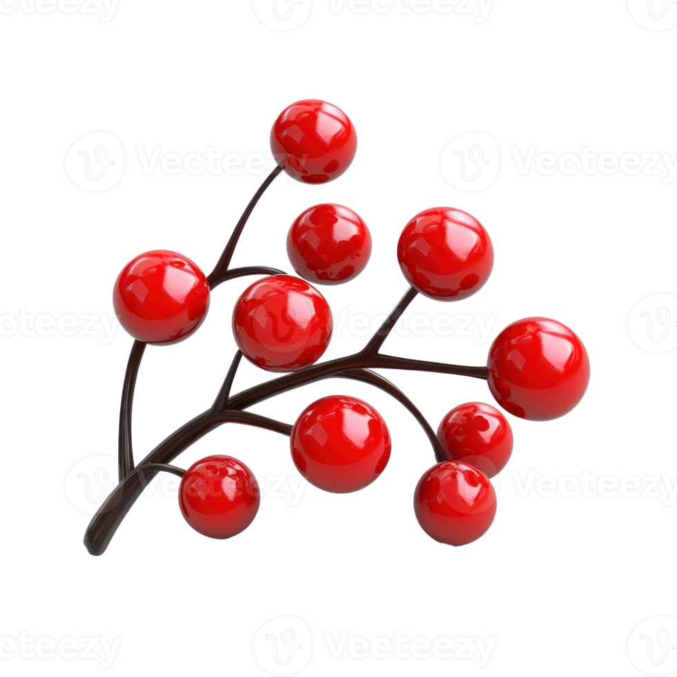 red berries on a branch with a transparent background png
