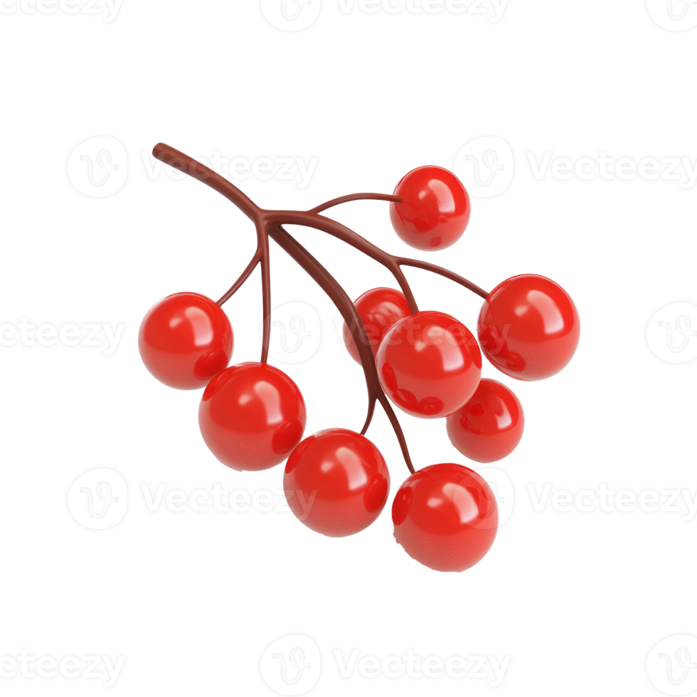 red berries on a branch with a transparent background png