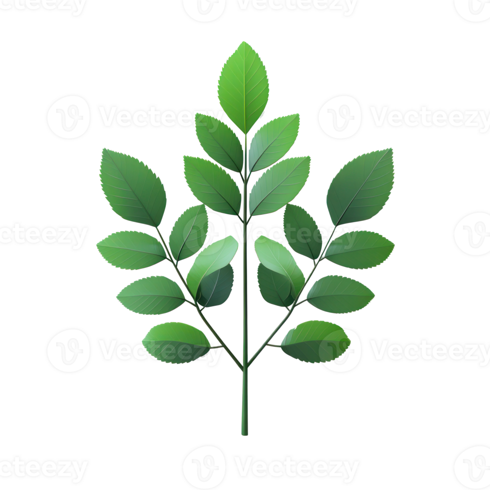 3D icon cartoon green leaves png