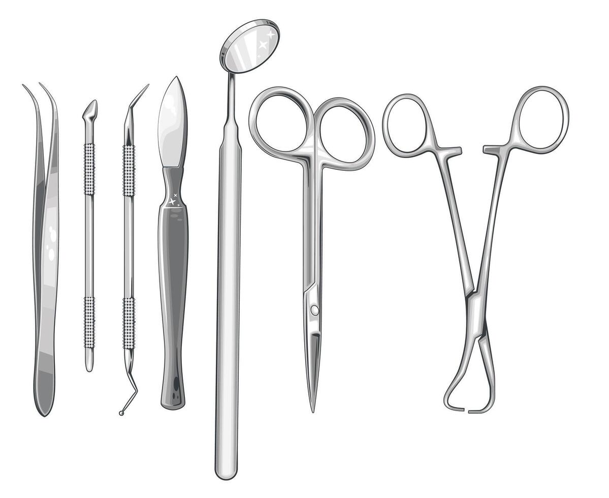 Surgical Instruments illustration. Forceps, Scissors, Scalpel, Carmalt Forceps isolated on white. Medical Education Illustration vector