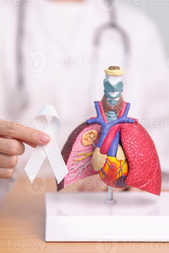 November Lung Cancer Awareness month. Doctor with Smoker Lung anatomy model and White ribbon in hospital. Healthcare and World Cancer day concept photo