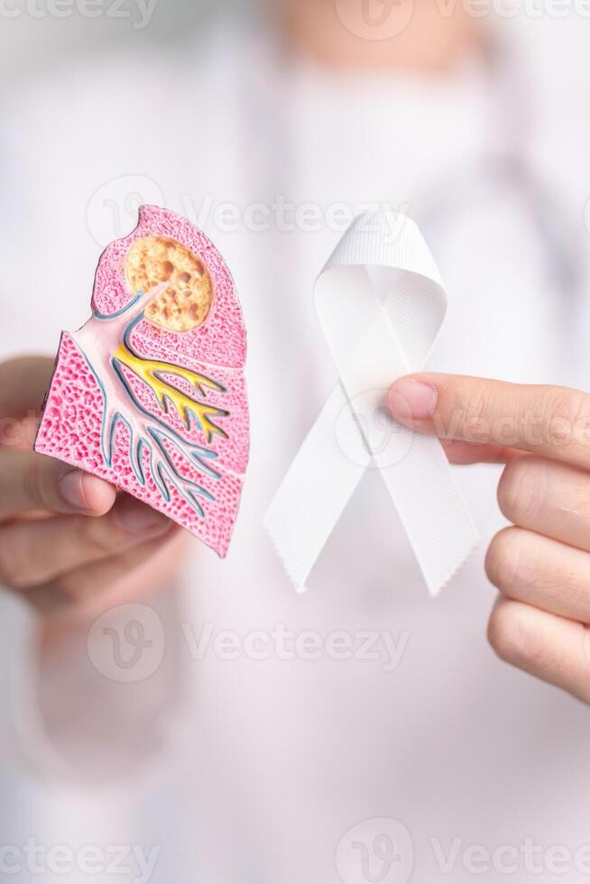 November Lung Cancer Awareness month. Doctor with Smoker Lung anatomy model and White ribbon in hospital. Healthcare and World Cancer day concept photo