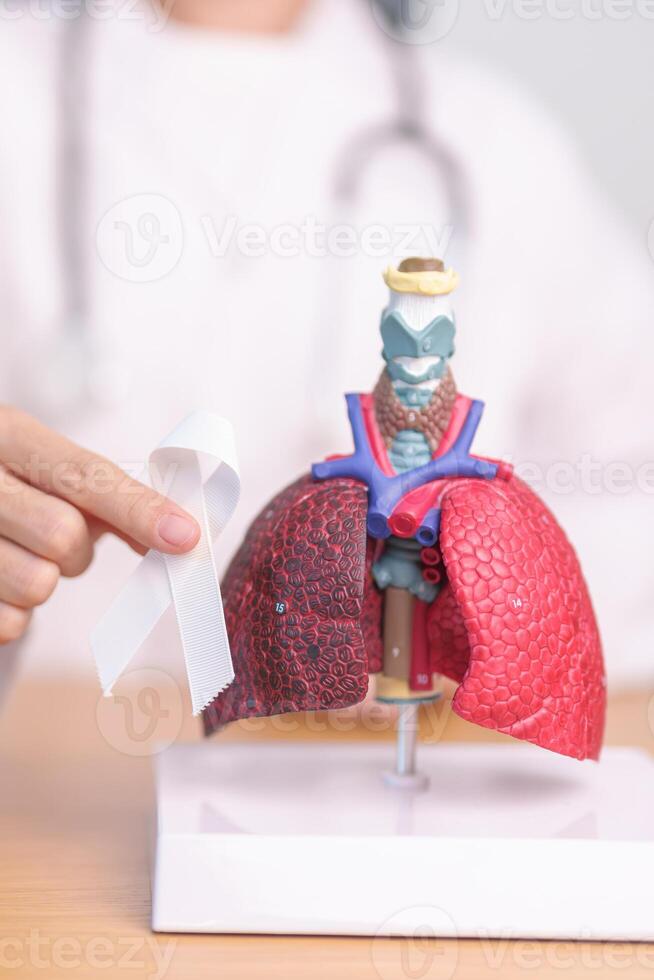 November Lung Cancer Awareness month. Doctor with Smoker Lung anatomy model and White ribbon in hospital. Healthcare and World Cancer day concept photo