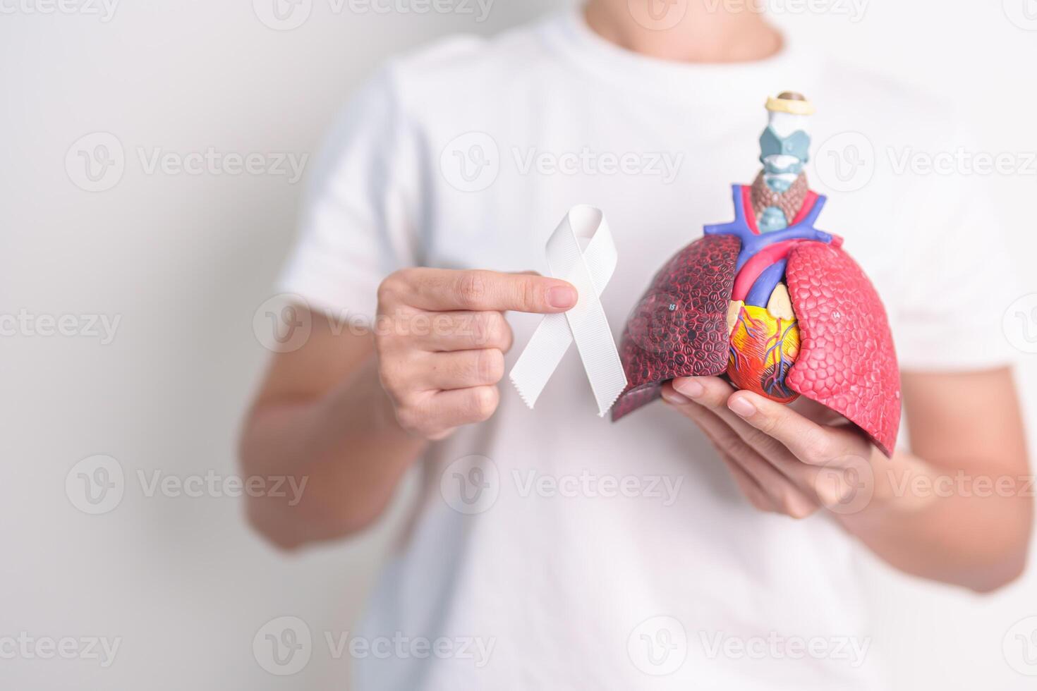 November Lung Cancer Awareness month. Doctor with Smoker Lung anatomy model and White ribbon in hospital. Healthcare and World Cancer day concept photo