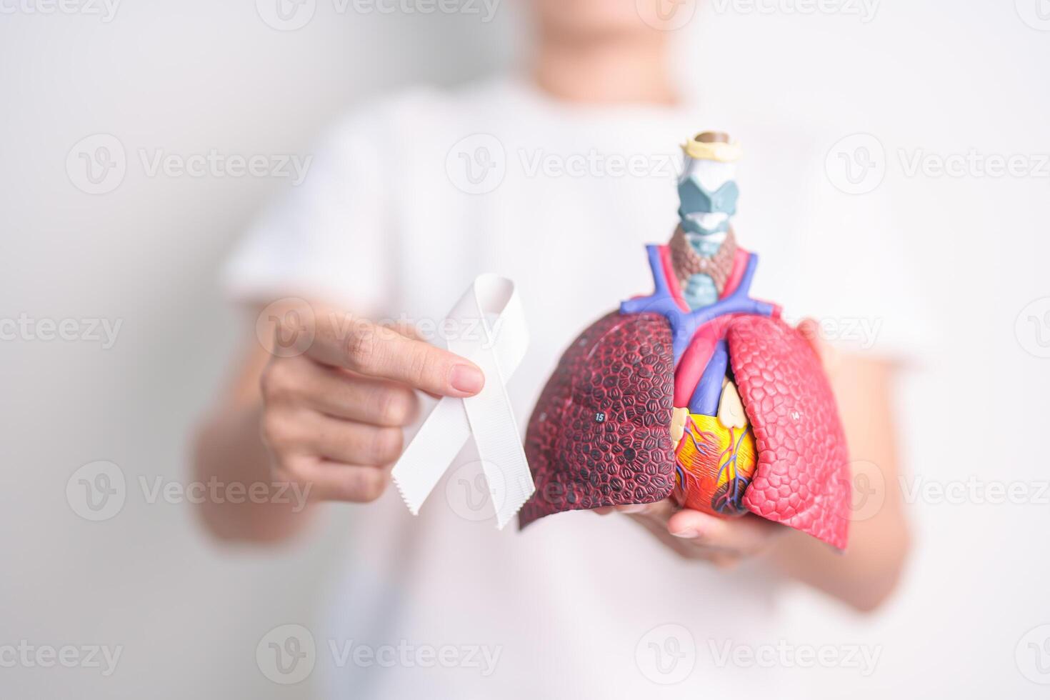 November Lung Cancer Awareness month. Doctor with Smoker Lung anatomy model and White ribbon in hospital. Healthcare and World Cancer day concept photo