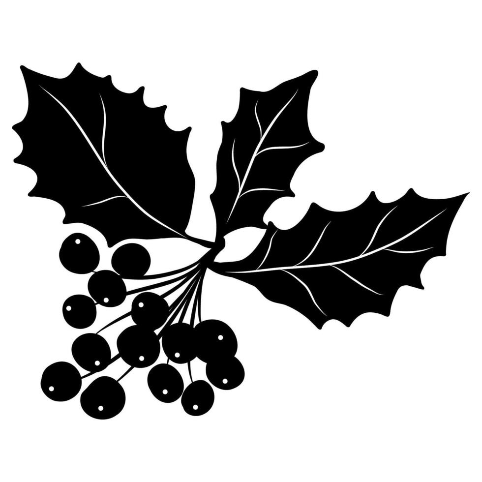 Hand drawn black holly berry on white background, Christmas holly berries vector
