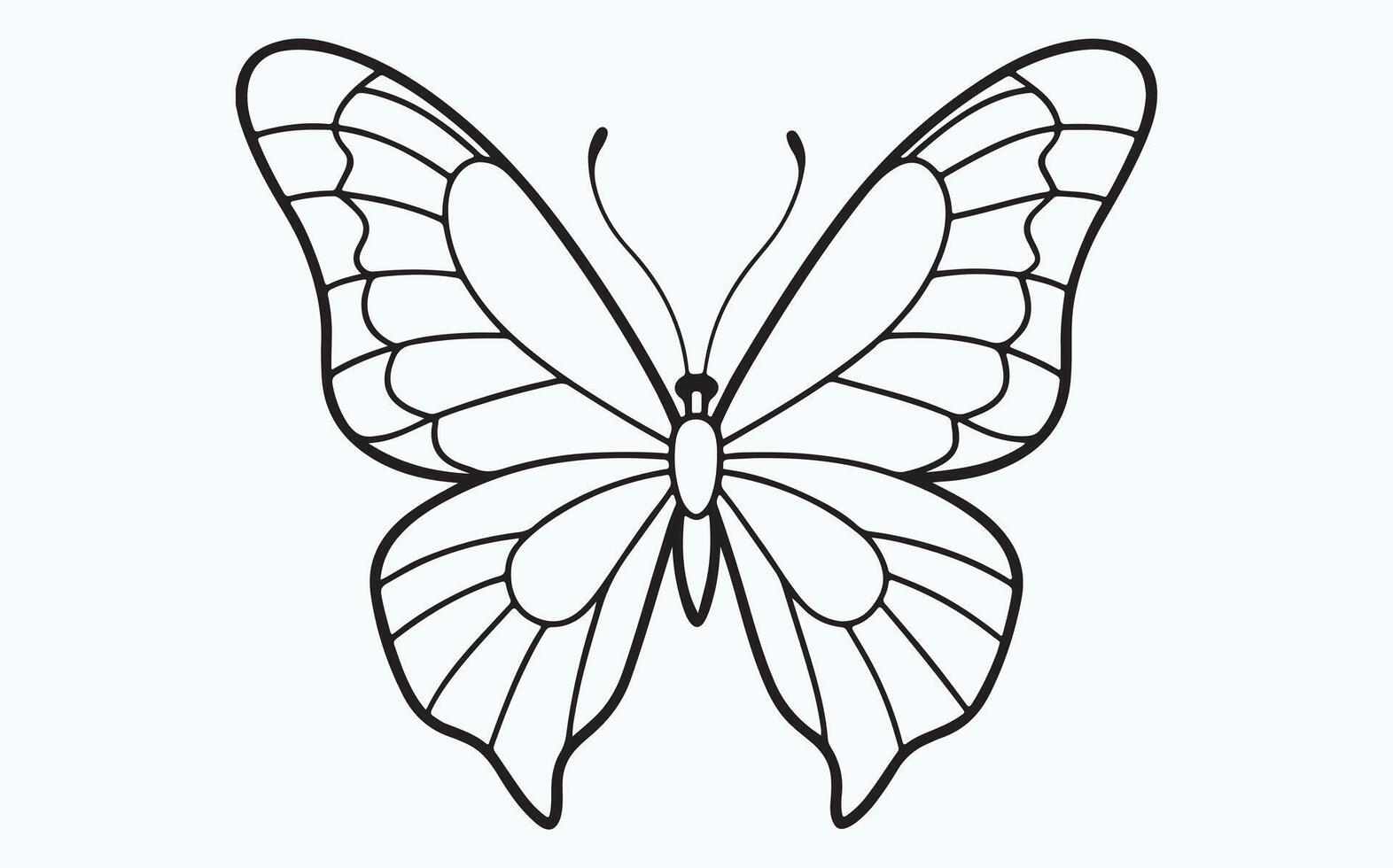 Elegant Butterfly Wings in Line Art image vector