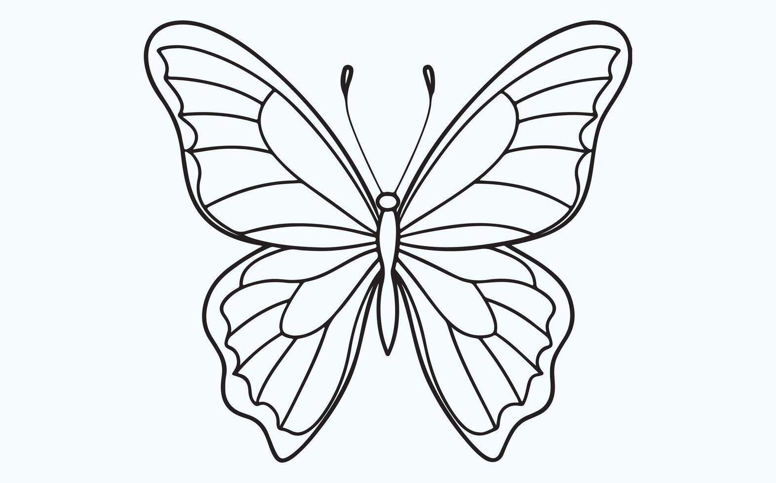 Elegant Butterfly Wings in Line Art vector