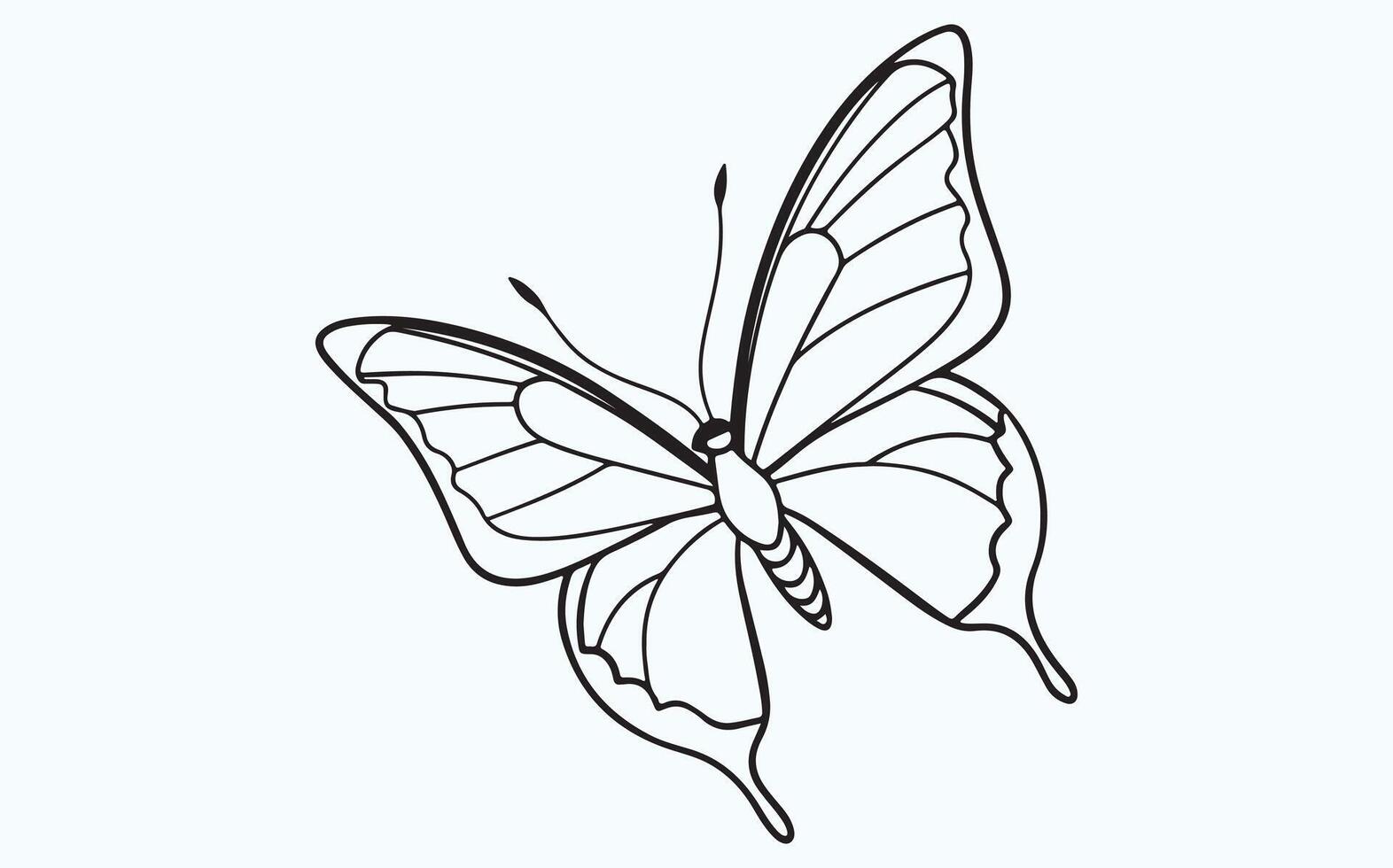 Elegant Butterfly Wings in Line Art image clipart vector