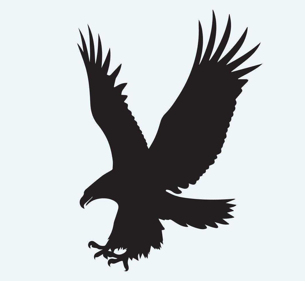 Eagle wings line art image clipart illustration vector