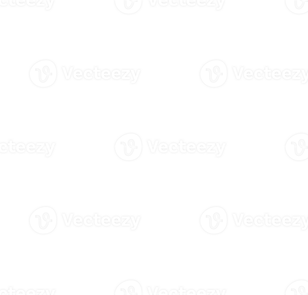 a cute snowflake png