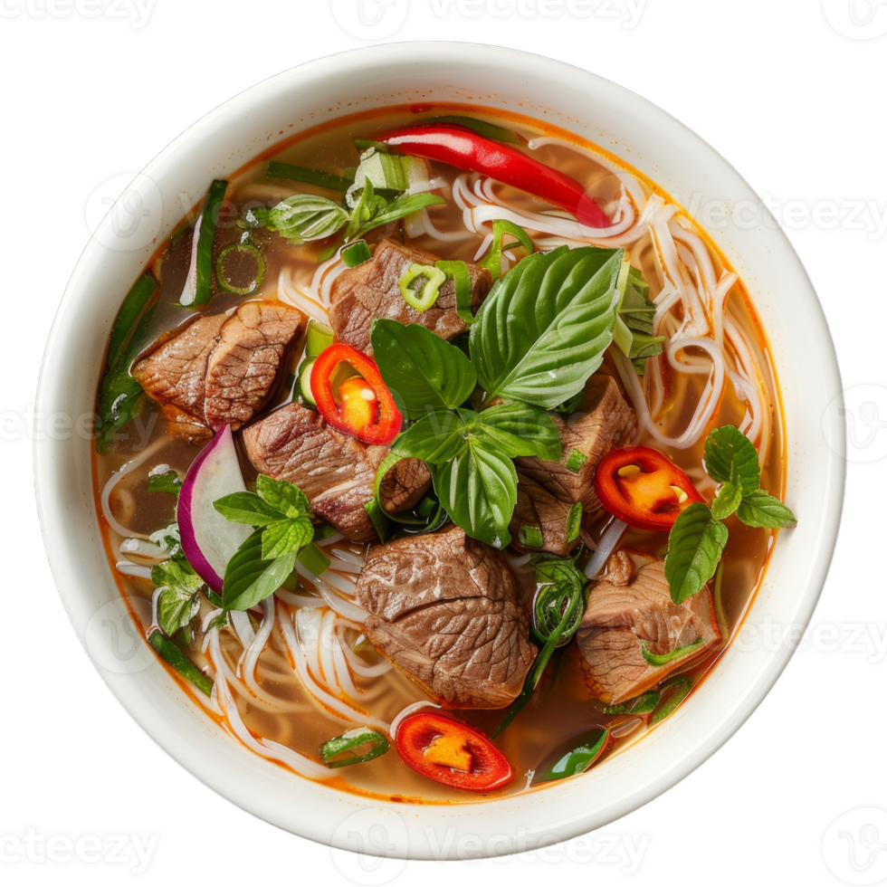 A bowl of beef and noodles with herbs png