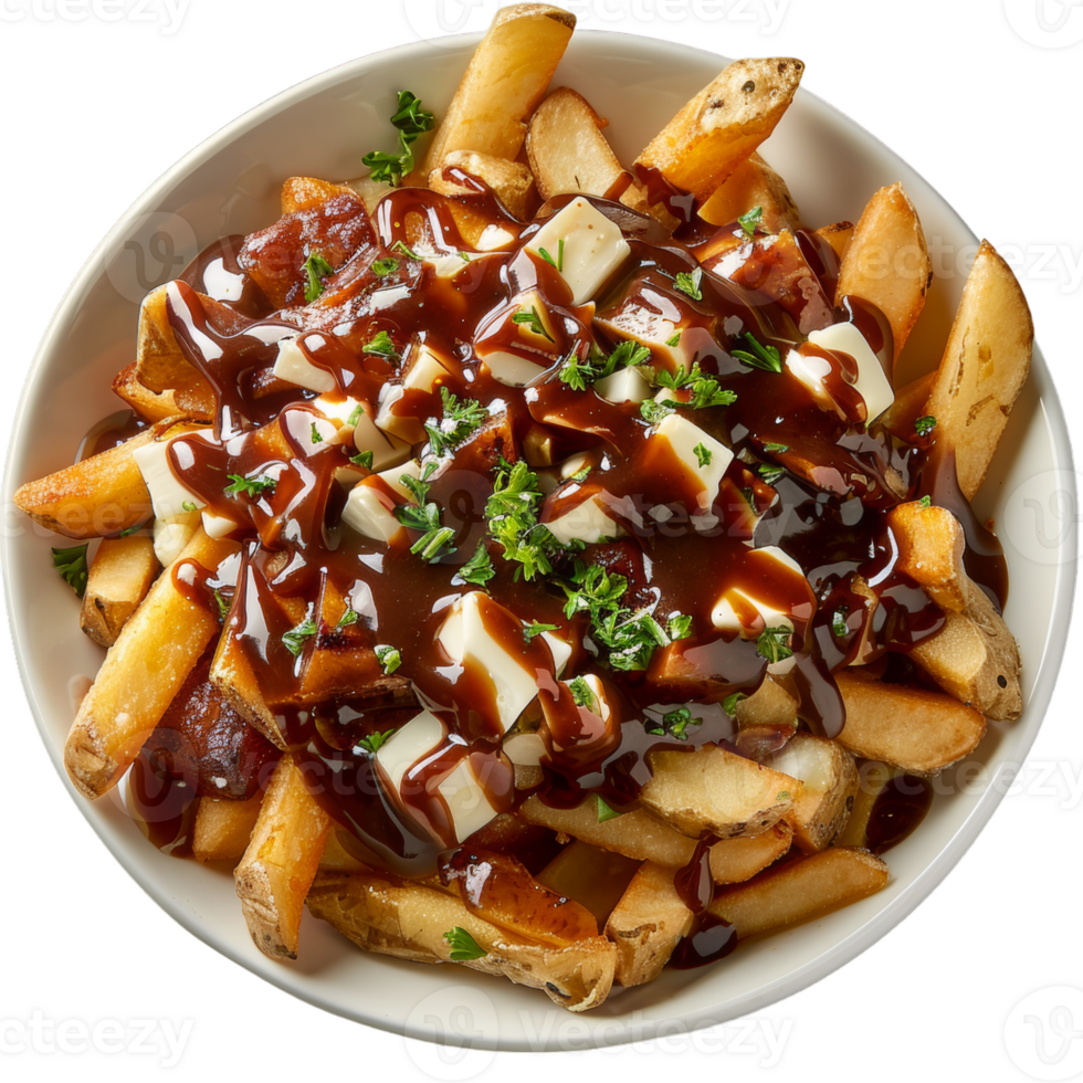 A plate of french fries with gravy and cheese png