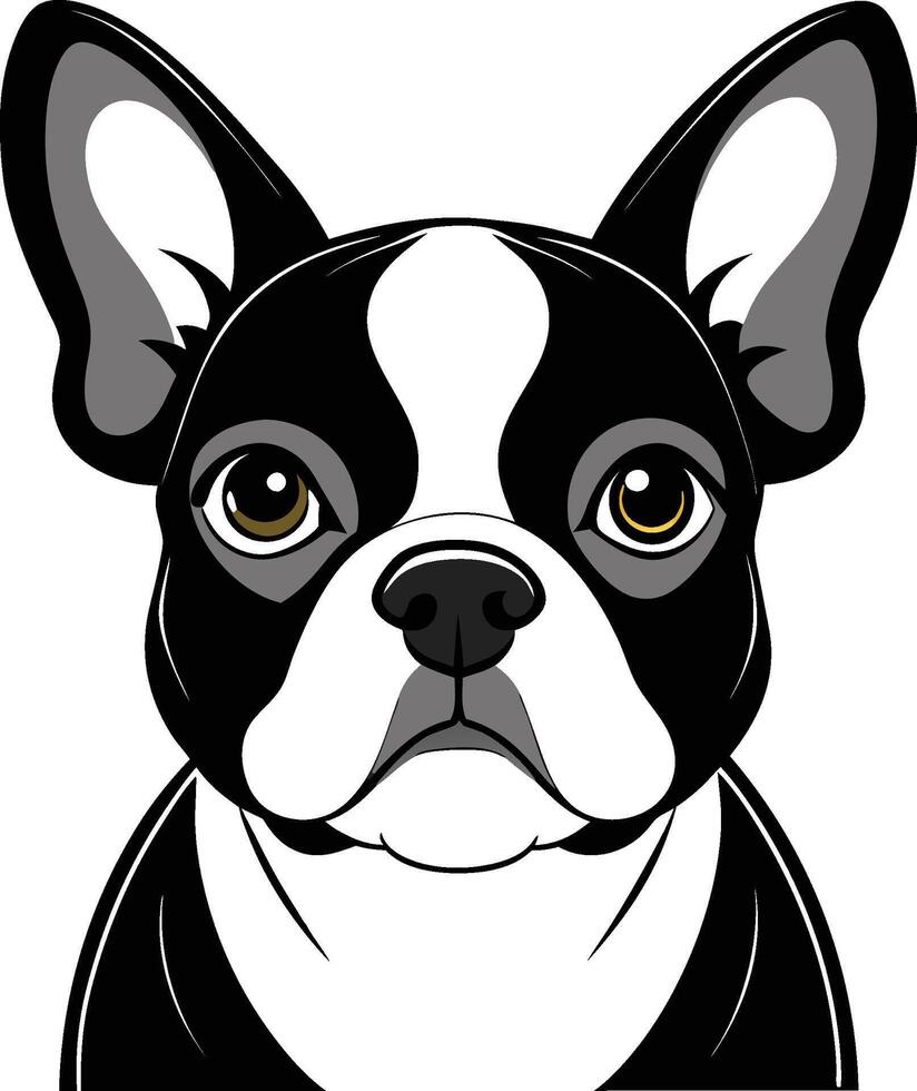 french bulldog design vector