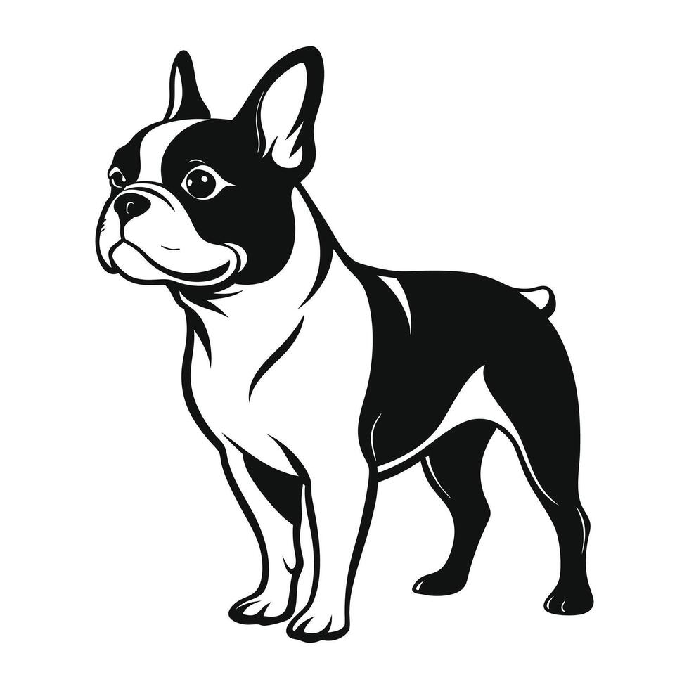 A black and white drawing of a french bulldog vector