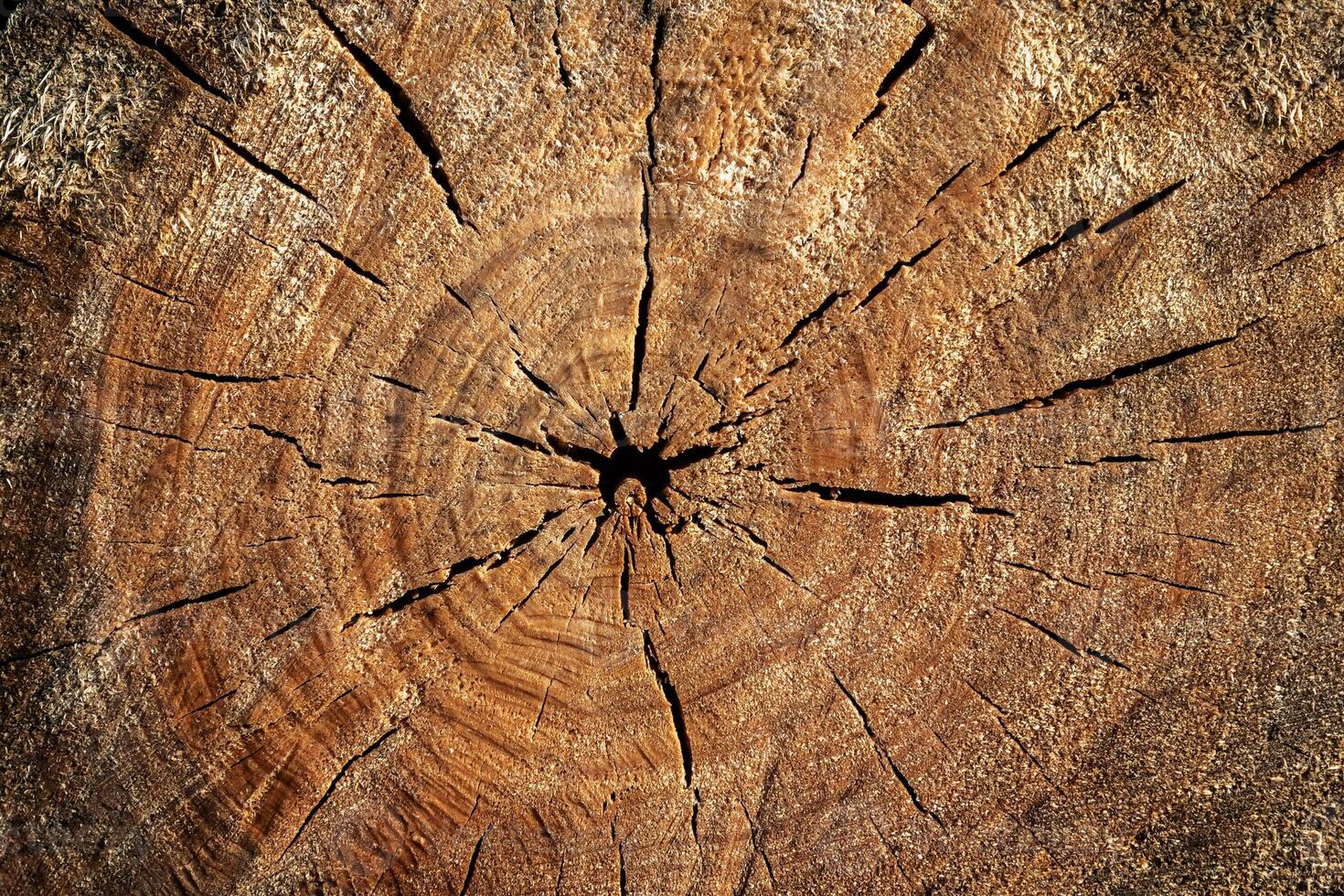 Wood abstract texture. Surface grunge backdrop. Dirty wooden effect pattern. Material background. photo