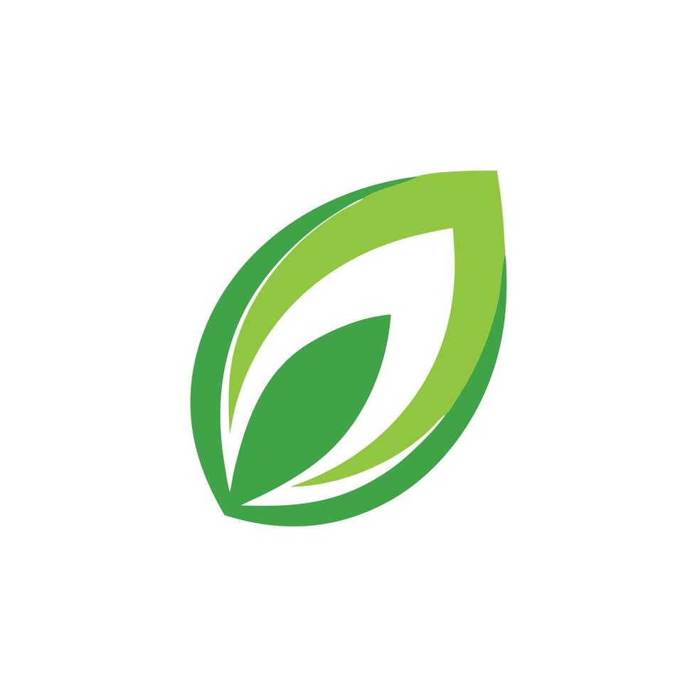 A green leaf logo. vector