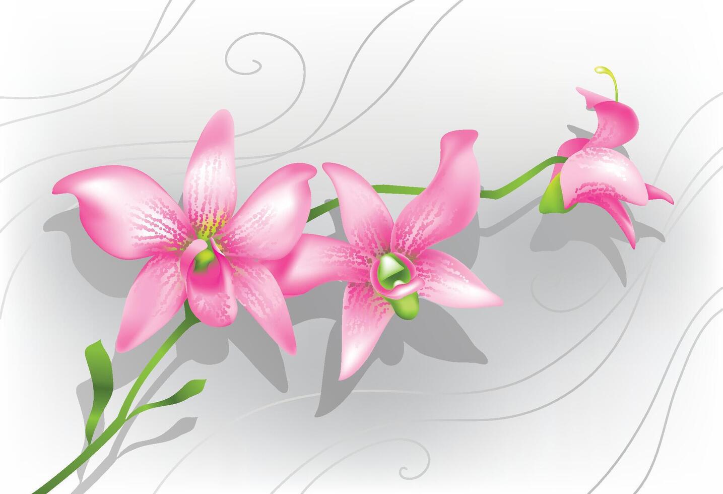 Beautiful Purple Orchid on Soft Grey vector
