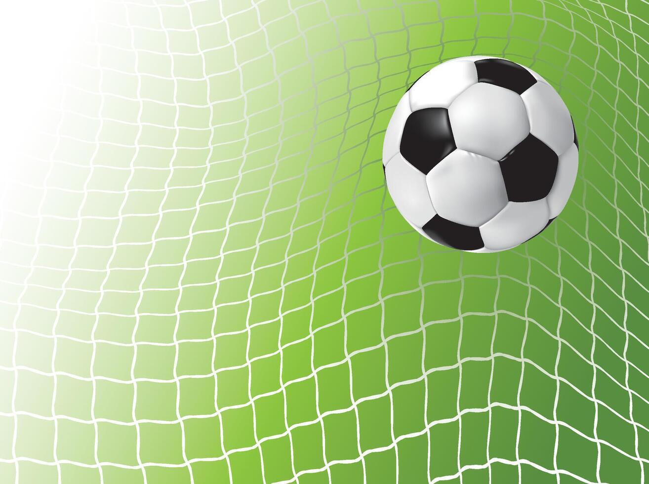 Soccer Ball in Net. Soccer Ball in the goal vector