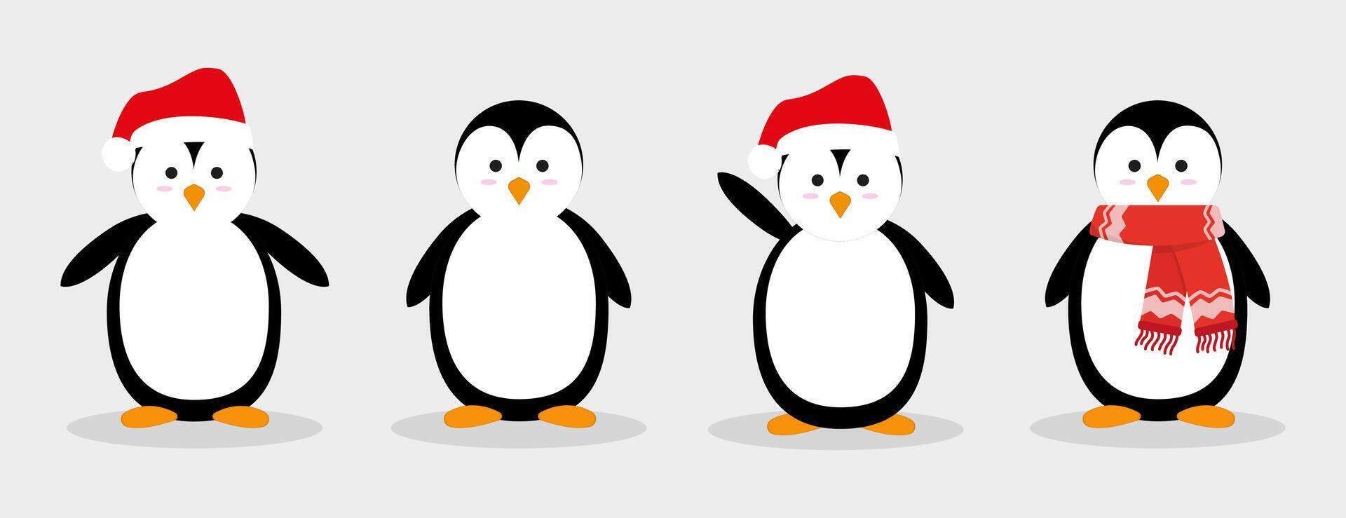 Set of Christmas penguins. Penguins. graphics in cartoon flat style vector