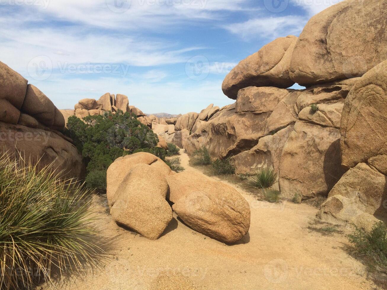Boulders Landscape in Joshua Tree National Park, California photo