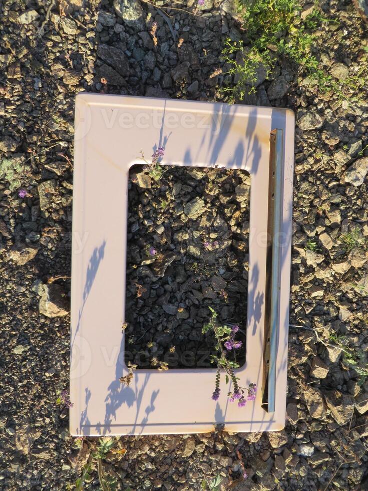 Retro Pink Oven Door by Purple Wildflowers Abandoned in Arizona Desert photo