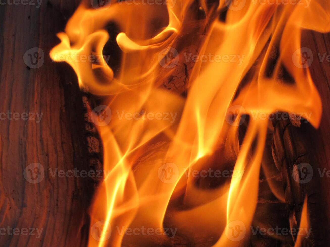 Close Up of Flames Bright Burning Fire in Campsite Fire PIt photo