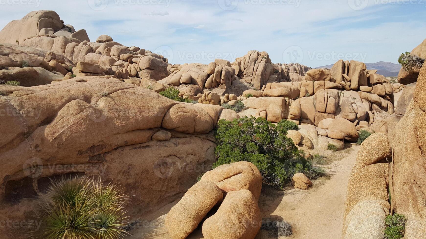 Boulders Landscape in Joshua Tree National Park, California photo