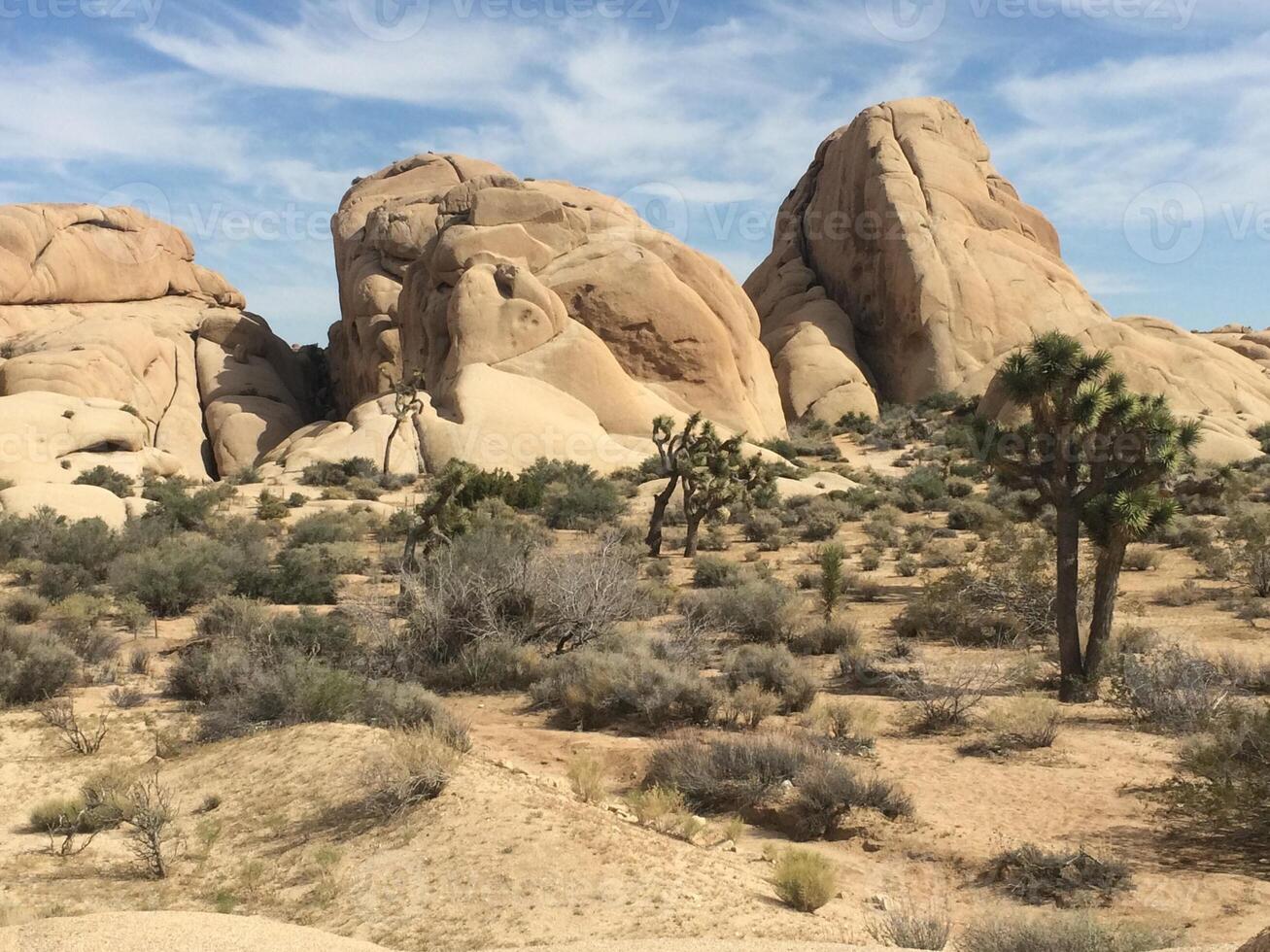 Boulders Landscape in Joshua Tree National Park, California photo