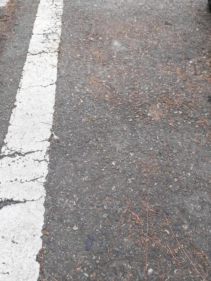 Perspective view of asphalt road texture with white markings on the left side. Copy space concept. asphalt texture and straight road lines photo