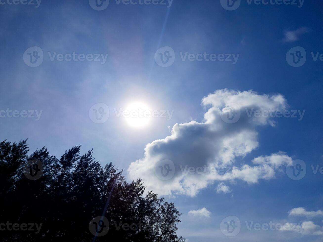 Morning Sunlight and Clouds with Pine Tree Silhouette - Blue Sky photo