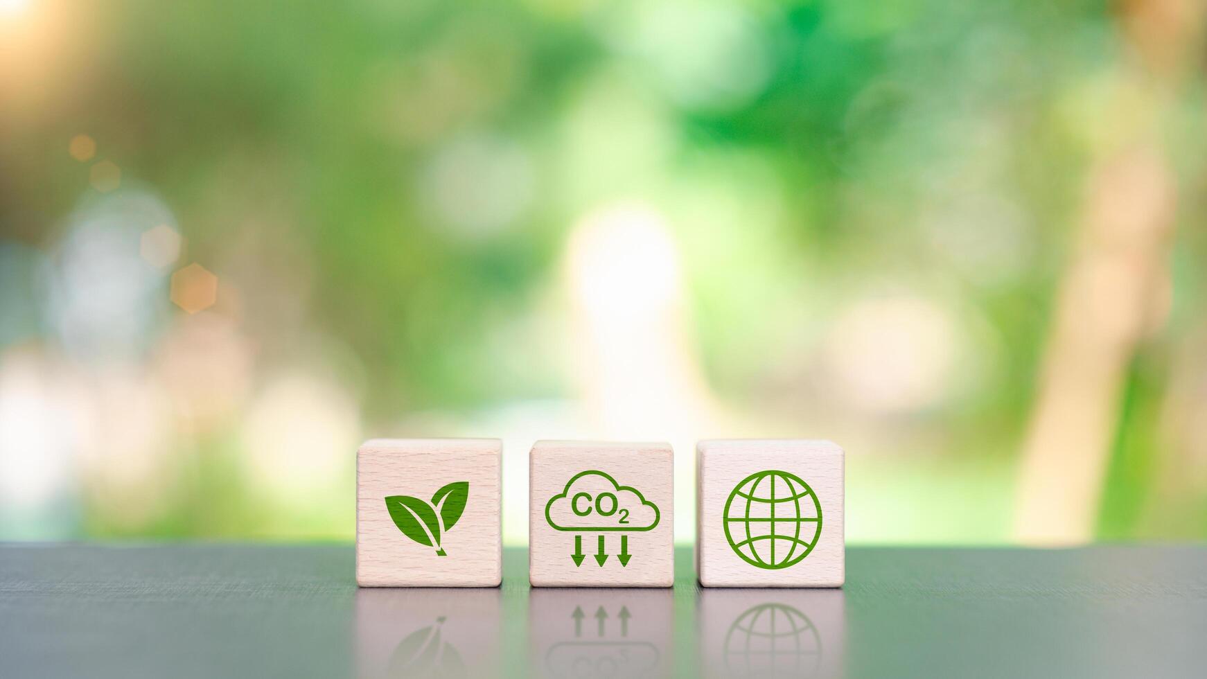 carbon dioxide emissions And industrial pollution causes environmental and ecological problems,carbon renewable energy agreement,reducing greenhouse gas emissions ,Impact on nature and environment photo