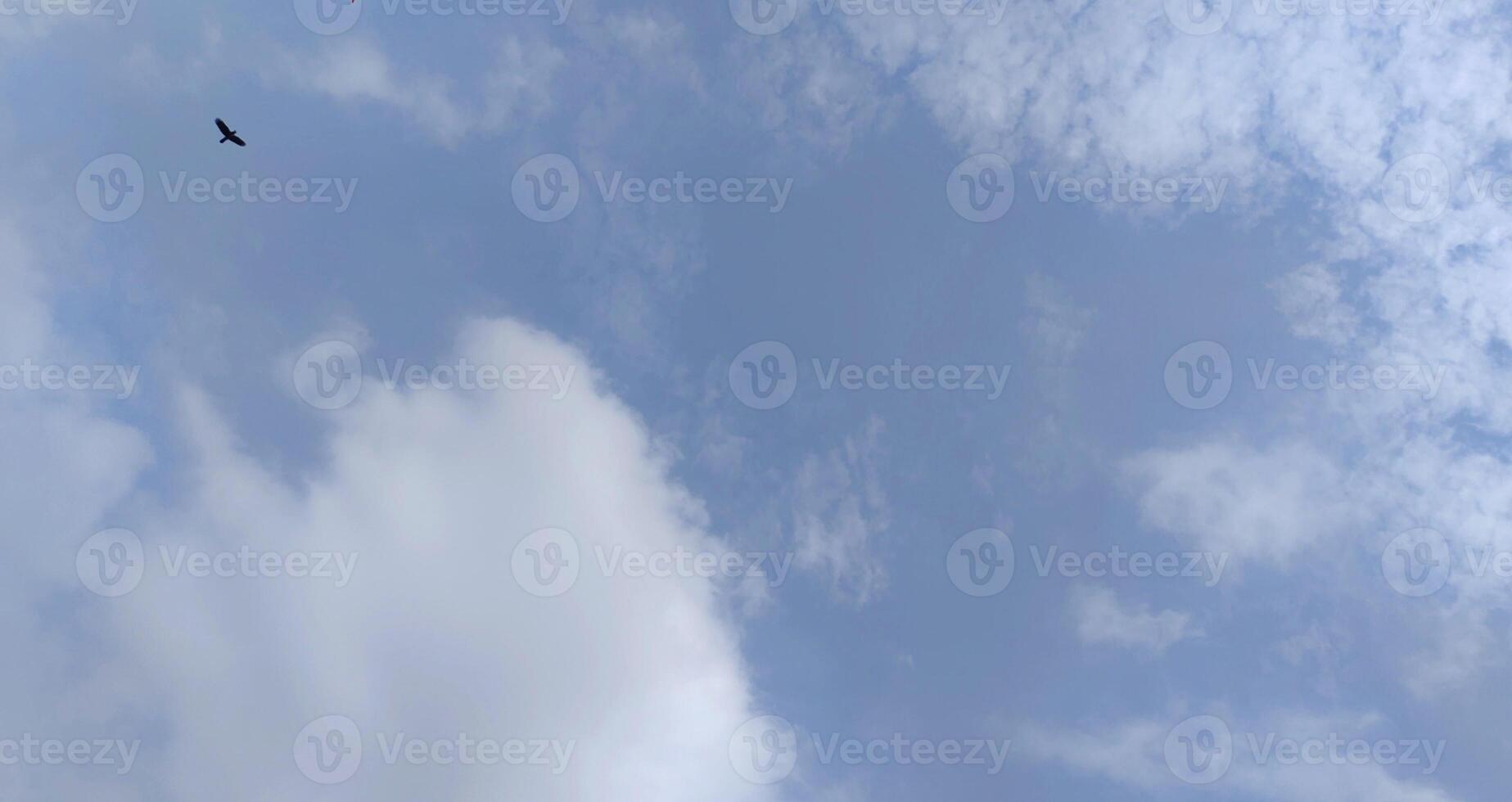 Sky with Fluffy Clouds bird flying Perfect for Nature and Weather Themes photo
