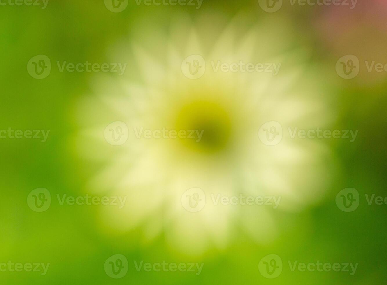 a blurry image of a yellow flower in a green field photo