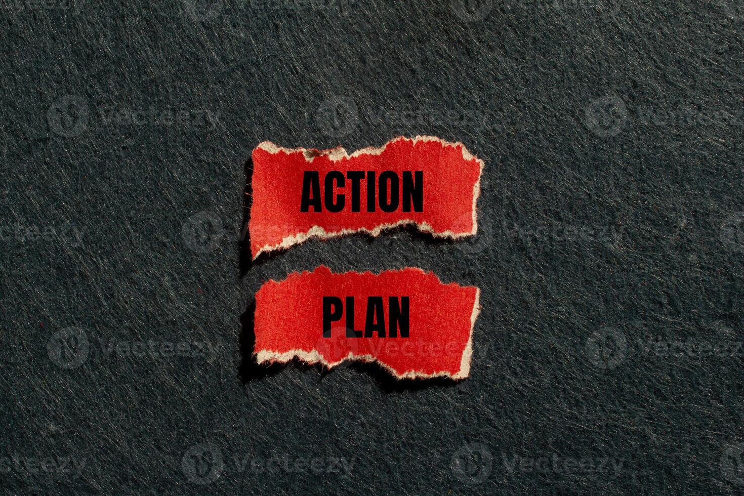 Action plan message written on ripped torn red paper pieces with gray background. Conceptual action plan symbol. Copy space. photo