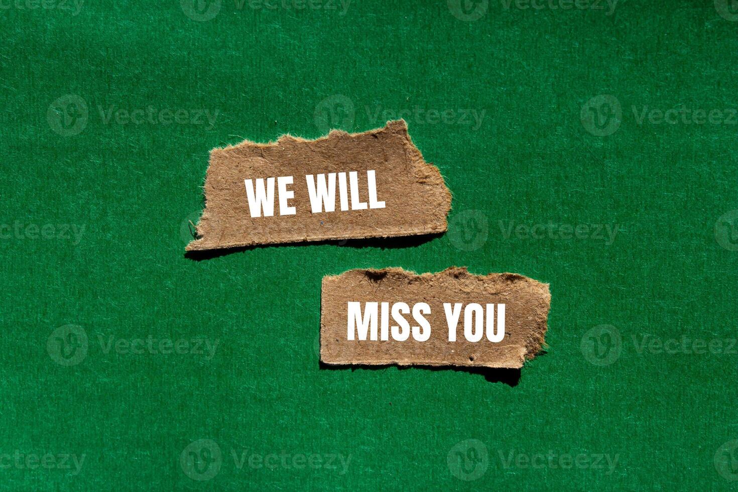 We will miss you message written on ripped torn paper pieces with green background. Conceptual we will miss you symbol. Copy space. photo