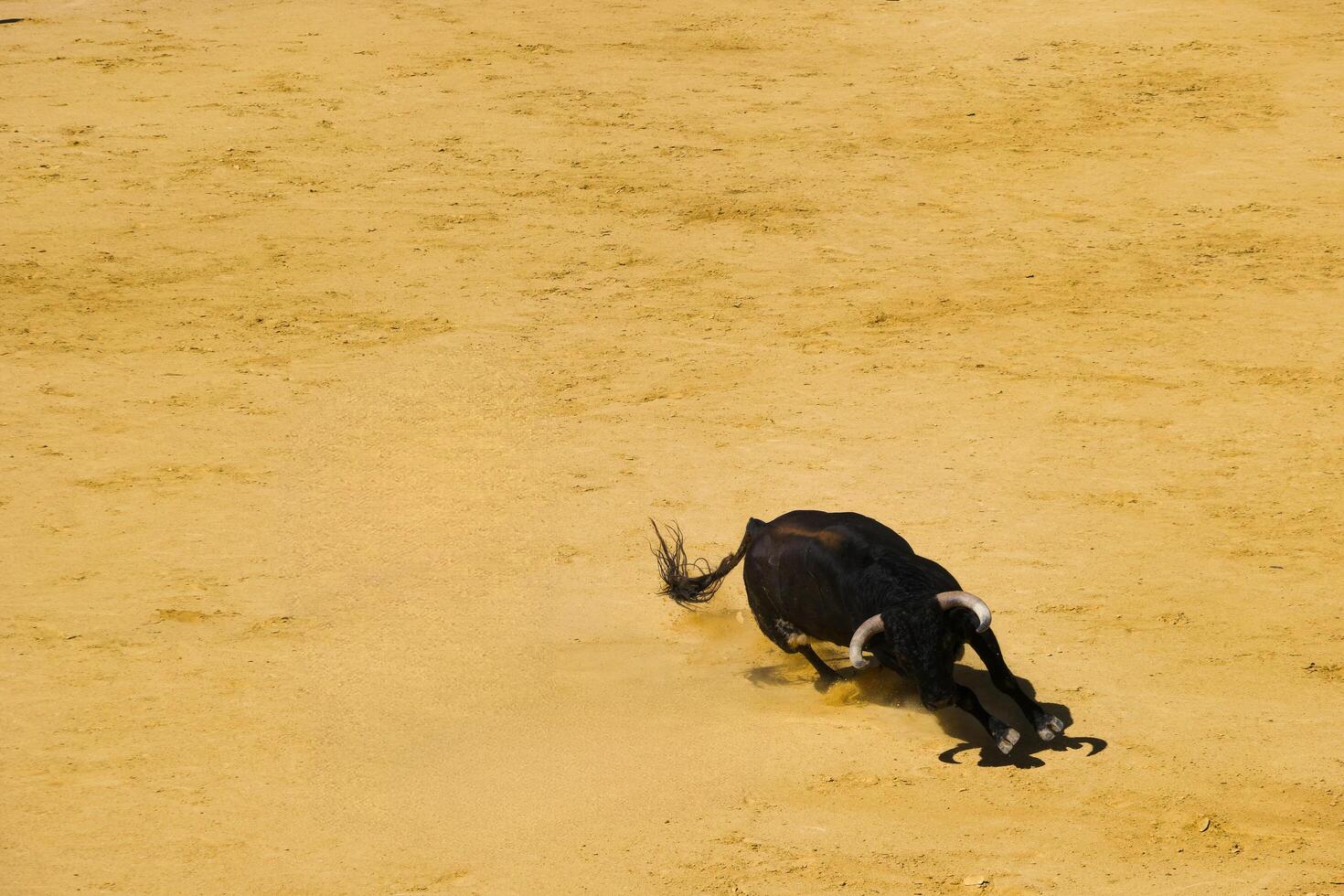 ...bull, animal, cattle, domestic, farm, background, fauna, big, photo