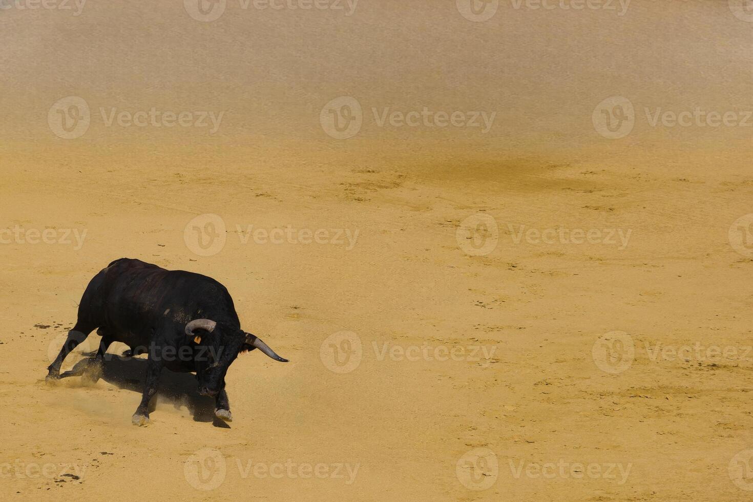 ...bull, animal, cattle, domestic, farm, background, fauna, big, photo