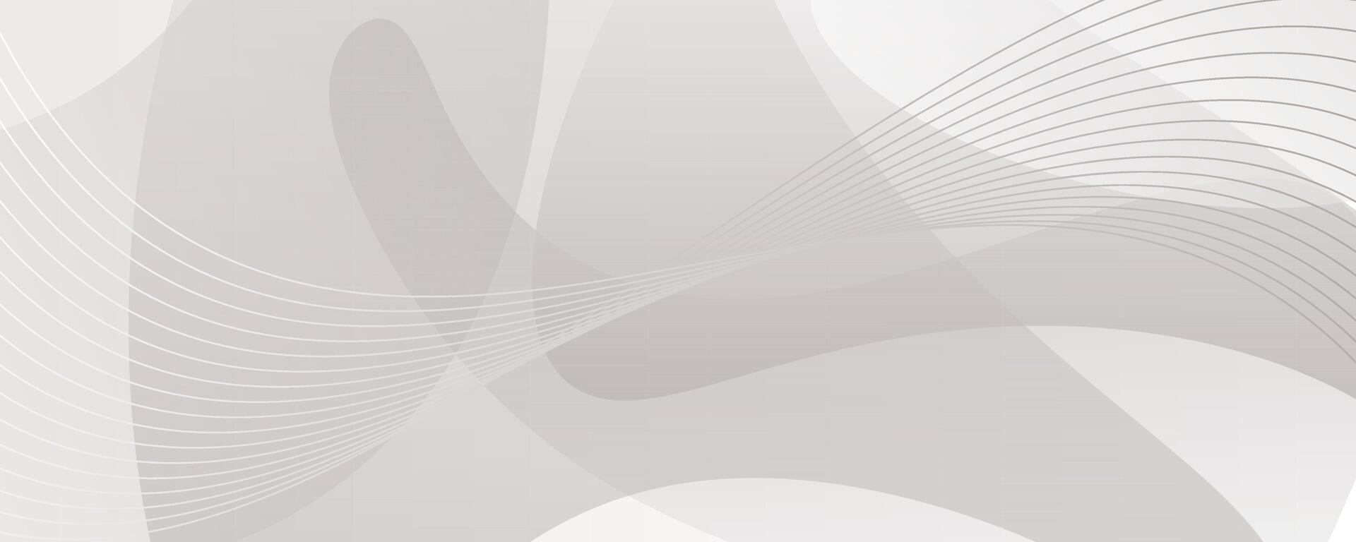 White background modern abstract with dynamic curve line elegant. Illustration template design vector