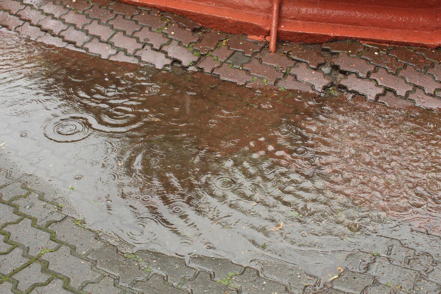 puddle during the rain. Circles from raindrops. A puddle during the rain. Ripples on the water photo